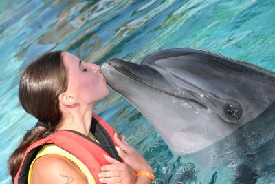 Schwimmen mit Delfinen in der Türkei: Ein unvergessliches Erlebnis in Antalya und Alanya