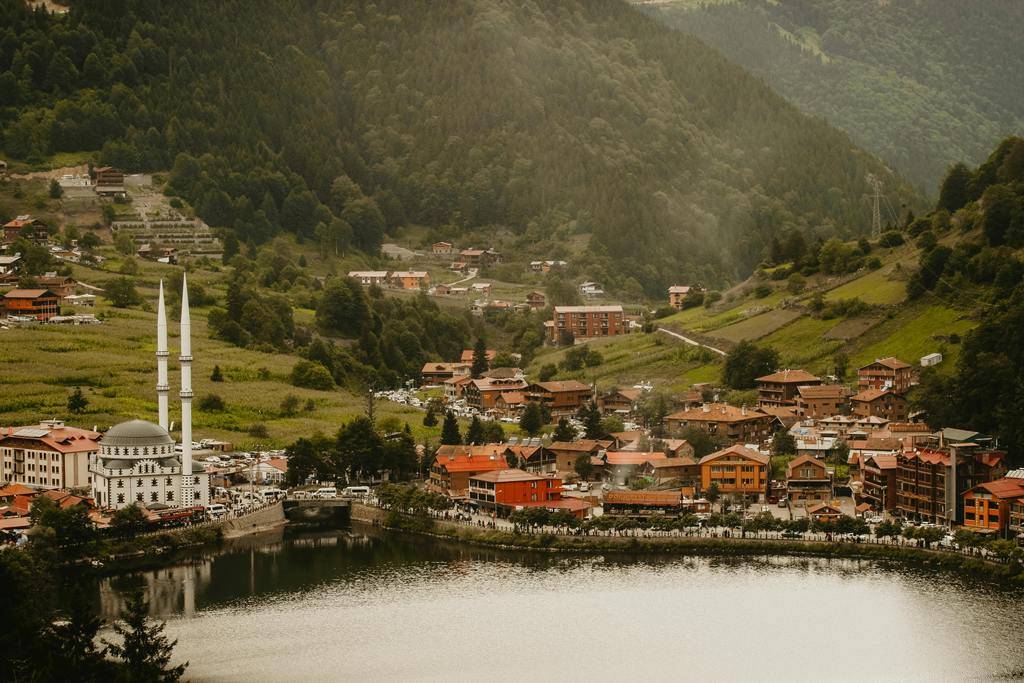 property turkey buying (2).jpg